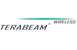 Terabeam Wireless