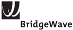 WiMAX White Paper from BridgeWave