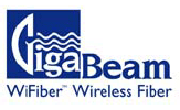 WiMAX White Paper from GigaBeam
